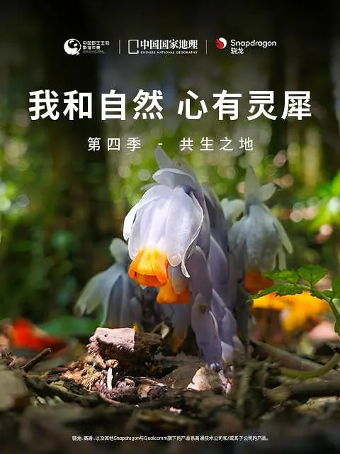 我和自然 心有灵犀 第四季